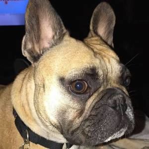 Meet your Posher, Dave